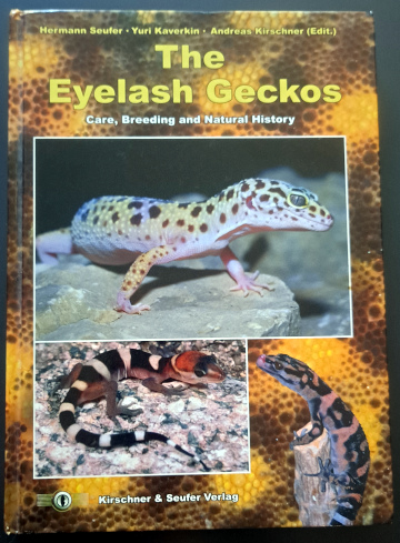 The Eyelash Geckos